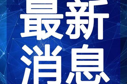 澄澈之水爆料视频大全最新,揭秘幕后真相，带你走进事件核心