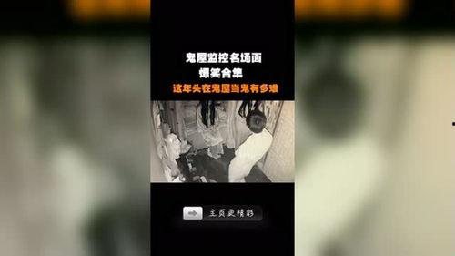 爆料屋最新视频