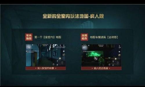 第五人格爆料网站大全最新,神秘角色登场，游戏玩法大揭秘！